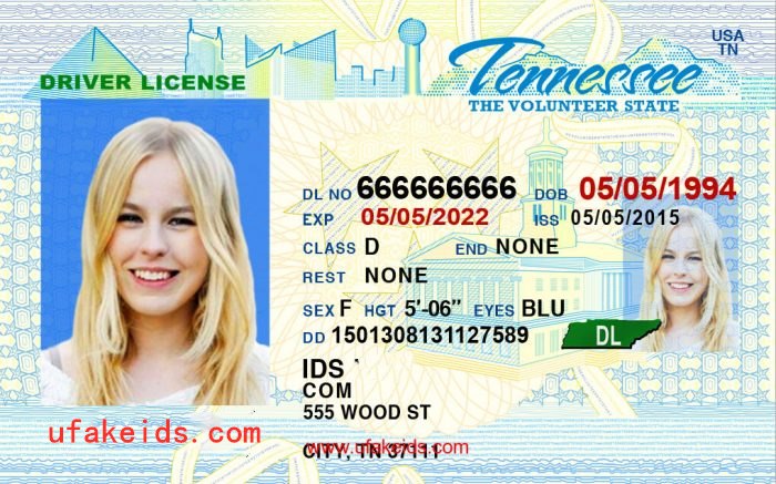 Tennessee Fake Id Online