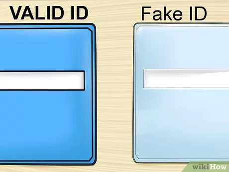 Tennessee Fake Id Roblox