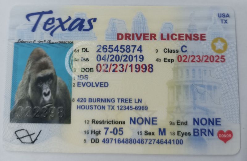 Texas Scannable Fake Id Website