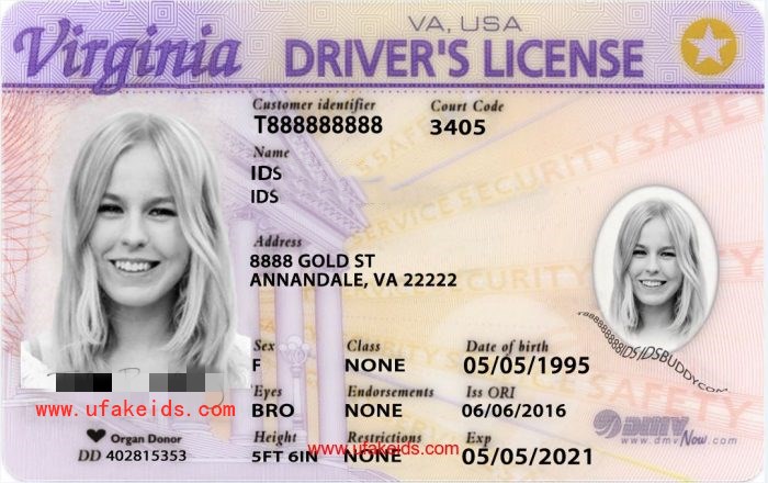 Virginia Fake Id Online