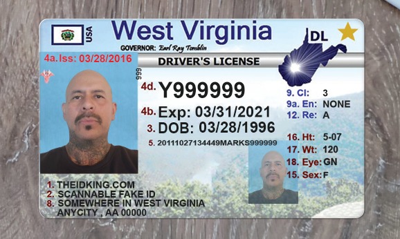 Virginia Scannable Fake Id Front And Back