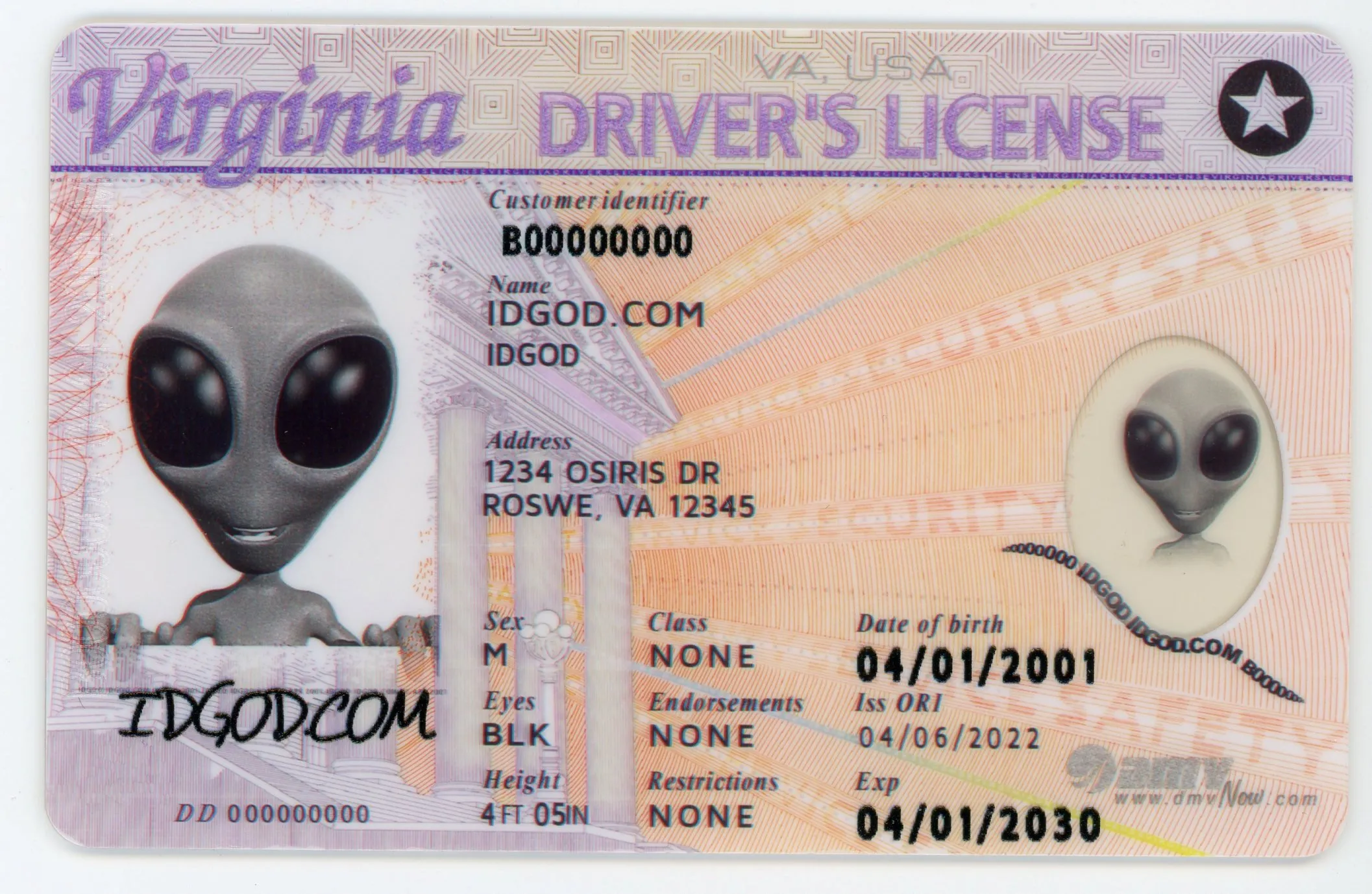 Virginia Scannable Fake Id Front And Back