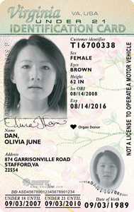 West Virginia Fake Id Online